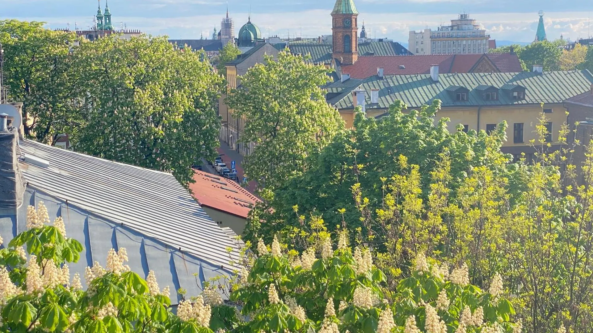 Angel Mint Apartment - Free Parking - Balcony Krakau
